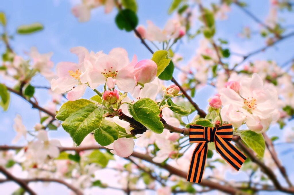 Весна победы наступает в Нелидовском городском округе