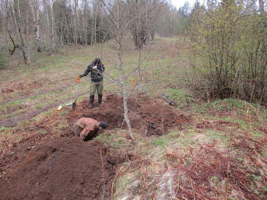 Под Андреаполем нашли останки павшего солдата