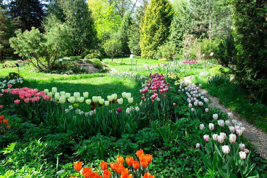 Музыка сада от филармонии прозвучит в Ботаническом саду Твери