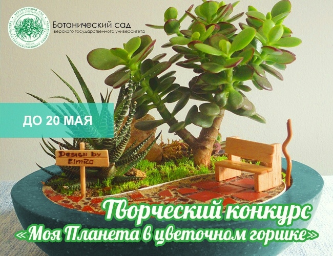 Жители Тверской области могут принять участие в конкурсе "Моя Планета в цветочном горшке"