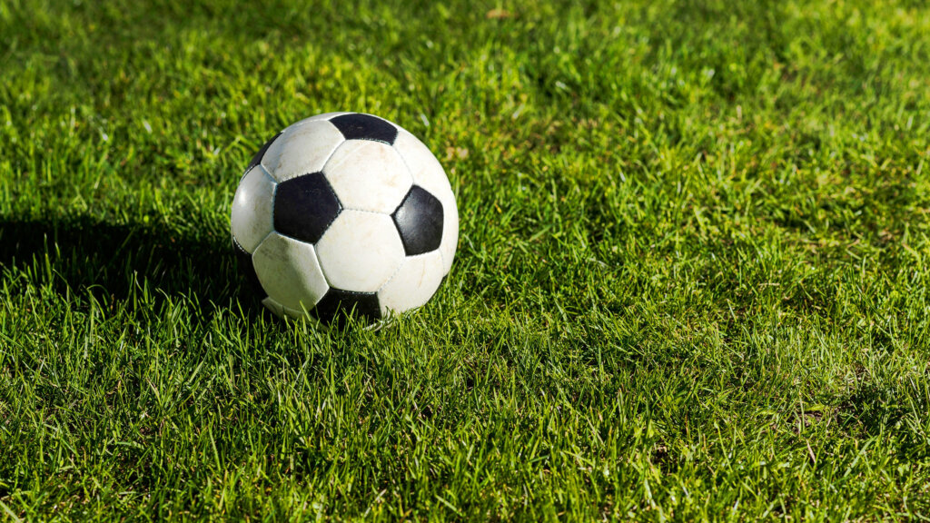 В Ржевском районе состоялся турнир по мини-футболу