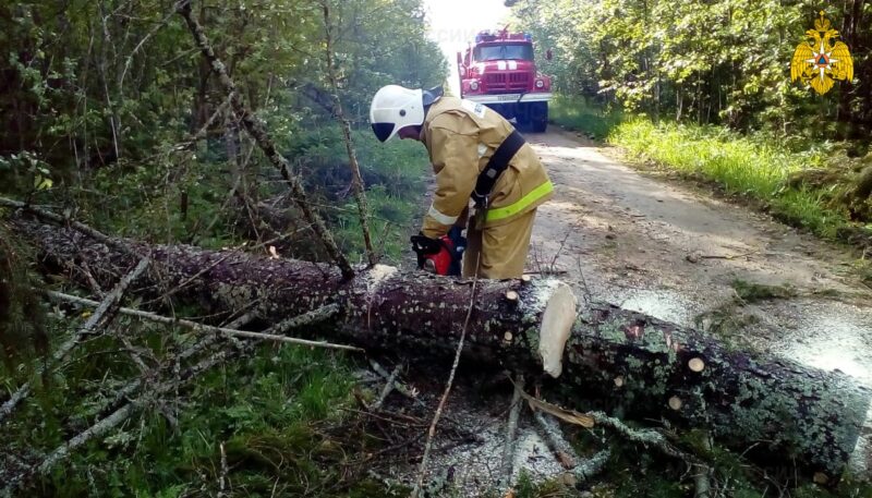 В Тверской области сотрудники МЧС убирали поваленные деревья В Тверской области сотрудники МЧС убирали поваленные деревья