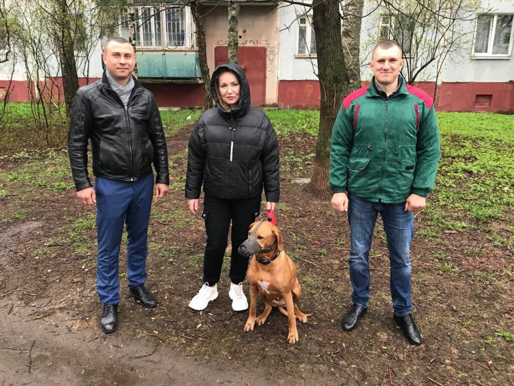 В Твери сотрудники БТИ спасли отравленную собаку