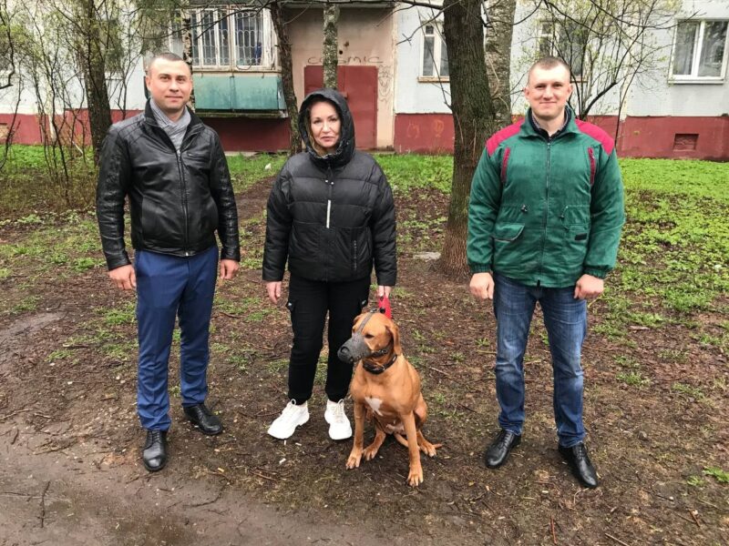 В Твери сотрудники БТИ спасли отравленную собаку В Твери сотрудники БТИ спасли отравленную собаку