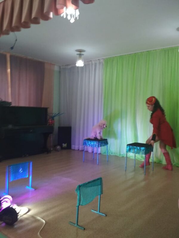 Гастролирующий цирк подарил праздник ребятам из Ржевского района