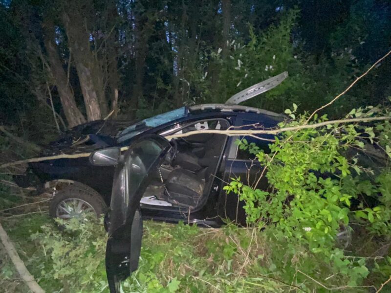 Под Вышним Волочком «Лада» сбила лося Под Вышним Волочком «Лада» сбила лося