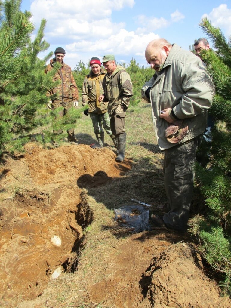 На пленере поисковики случайно обнаружили останки солдата