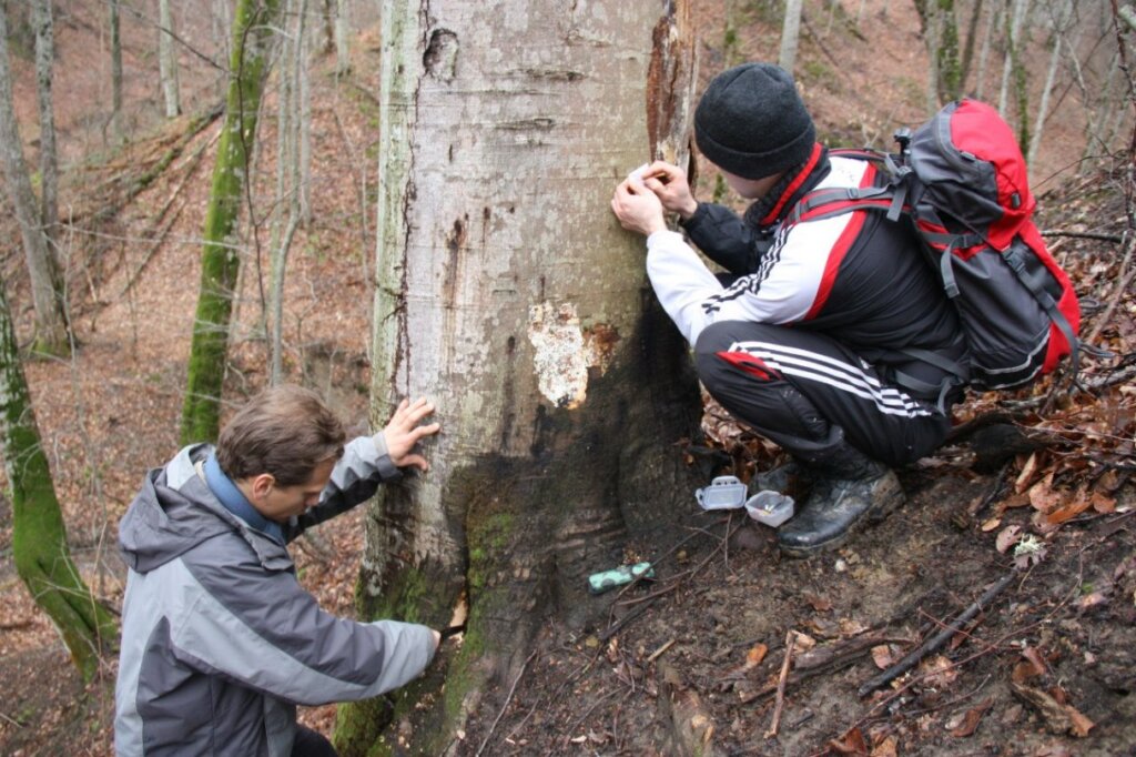 Не донесли: закладчиков в Твери задержали за попыткой сбыта