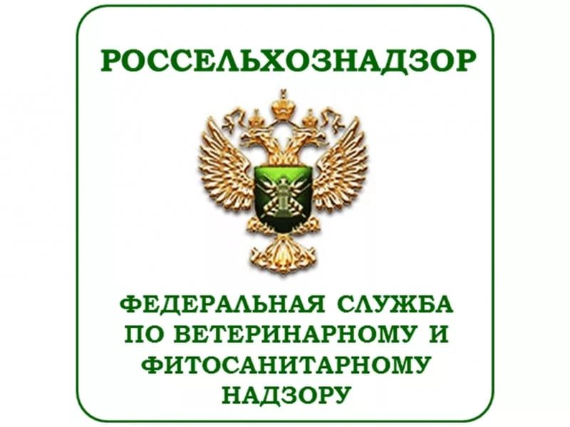 Россельхознадзор с начала года досмотрел10 225 импортных партий грузов Россельхознадзор с начала года досмотрел10 225 импортных партий грузов
