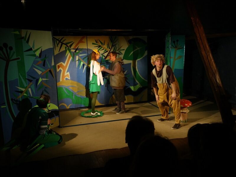 В Тверском ТЮЗе расскажут историю про наивную ромашку