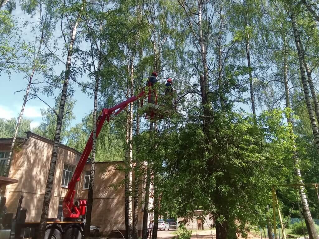 Сотрудники Тверьэнерго в преддверии Дня защиты детей помогли опилить деревья в детском противотуберкулезном санатории