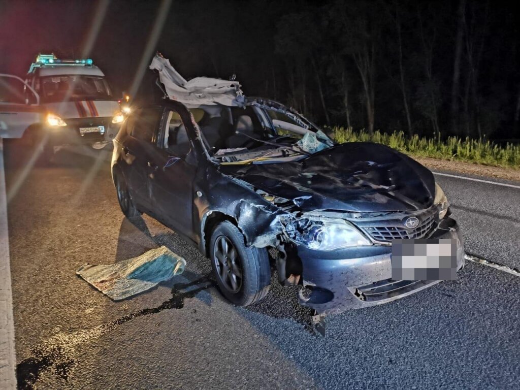 Иномарка сбила лося в Тверской области Иномарка сбила лося в Тверской области