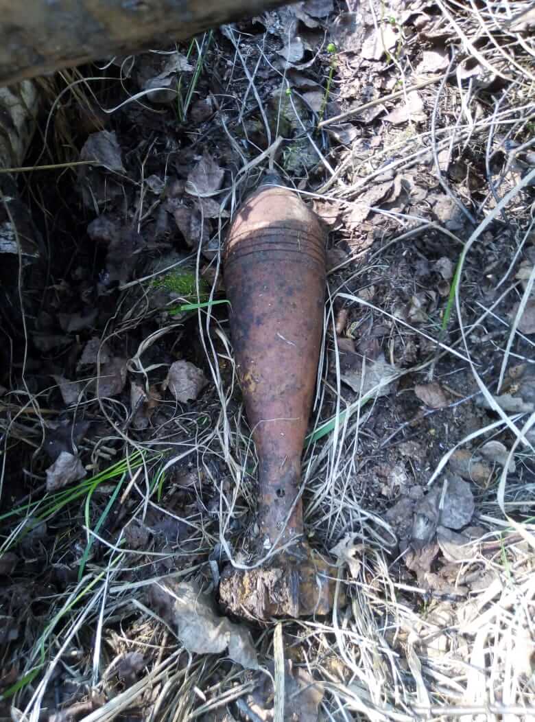 В Тверской области обнаружили боеприпасы времён Великой отечественной войны во время проведения расчистки просек