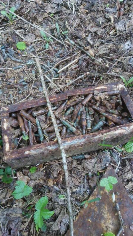 В Тверской области обнаружили боеприпасы времён Великой отечественной войны во время проведения расчистки просек