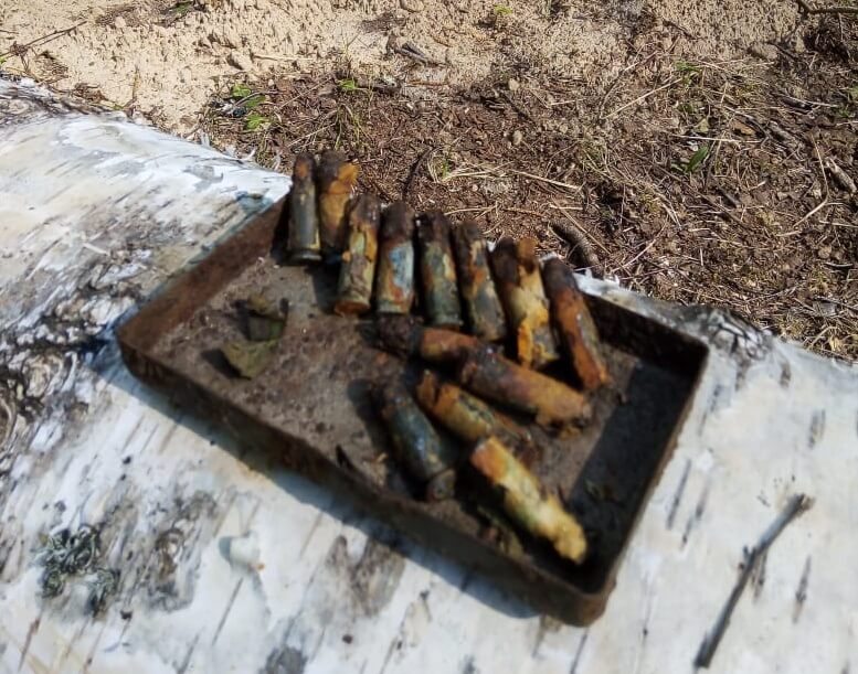 В Тверской области обнаружили боеприпасы времён Великой отечественной войны во время проведения расчистки просек