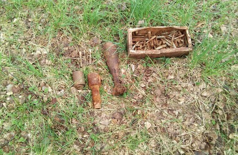 В Тверской области обнаружили боеприпасы времён Великой отечественной войны во время проведения расчистки просек