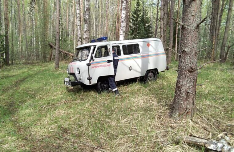 В Тверской области обнаружили боеприпасы времён Великой отечественной войны во время проведения расчистки просек
