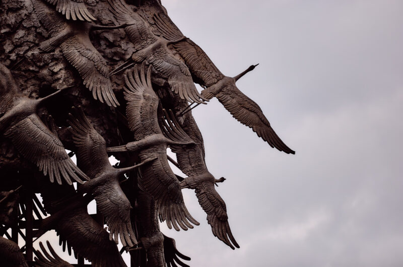 Ровно год назад прошло торжественное открытие Ржевского мемориала Советскому солдату