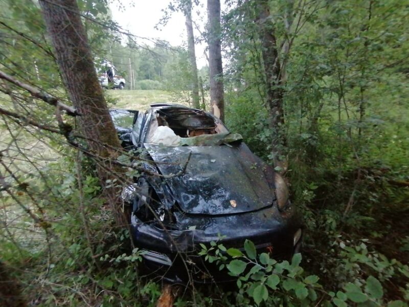 В Тверской области "Порш" столкнулся с лосем В Тверской области водитель "Порша" столкнулся с лосем