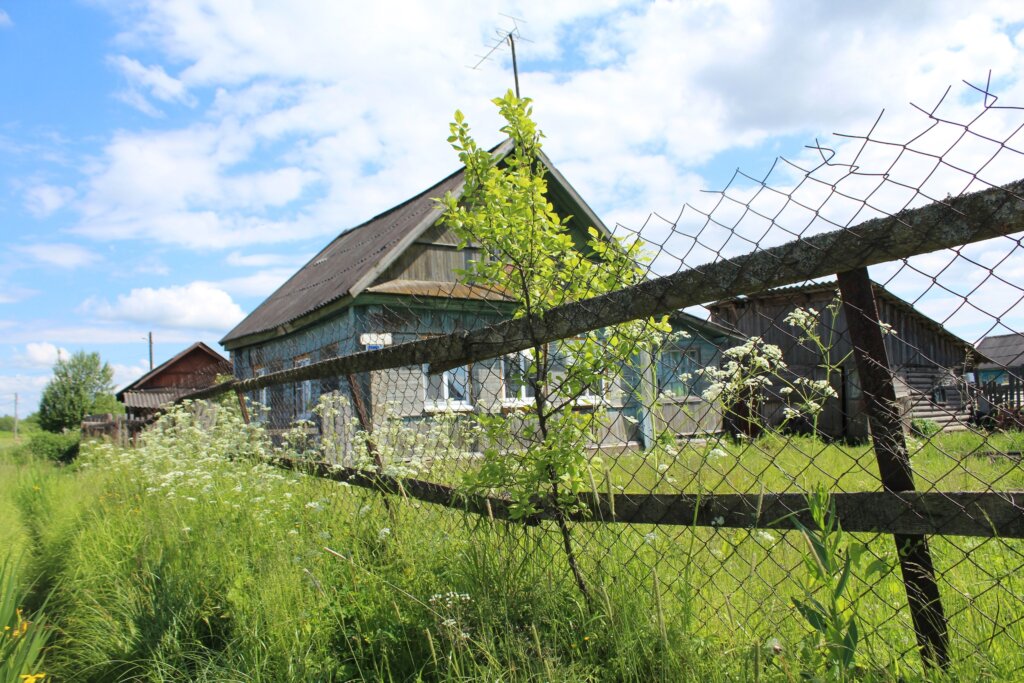 В Нелидово последователи армии ГАВ съели живьем сородича