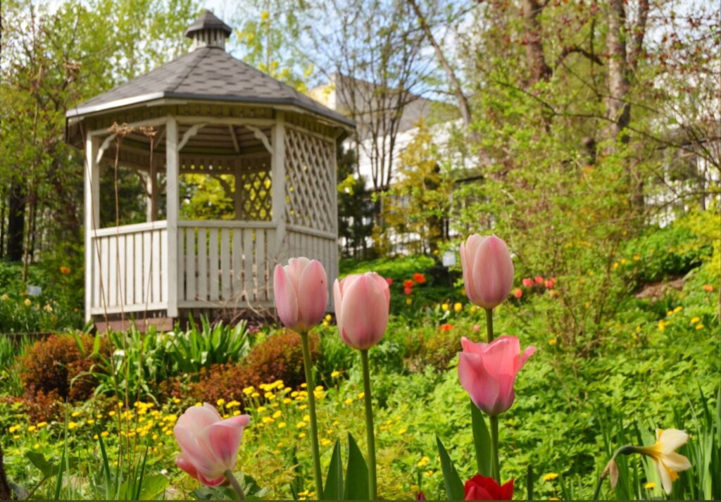 В Твери пройдет третий концерт цикла «Музыка сада» В Твери пройдет третий концерт цикла «Музыка сада»