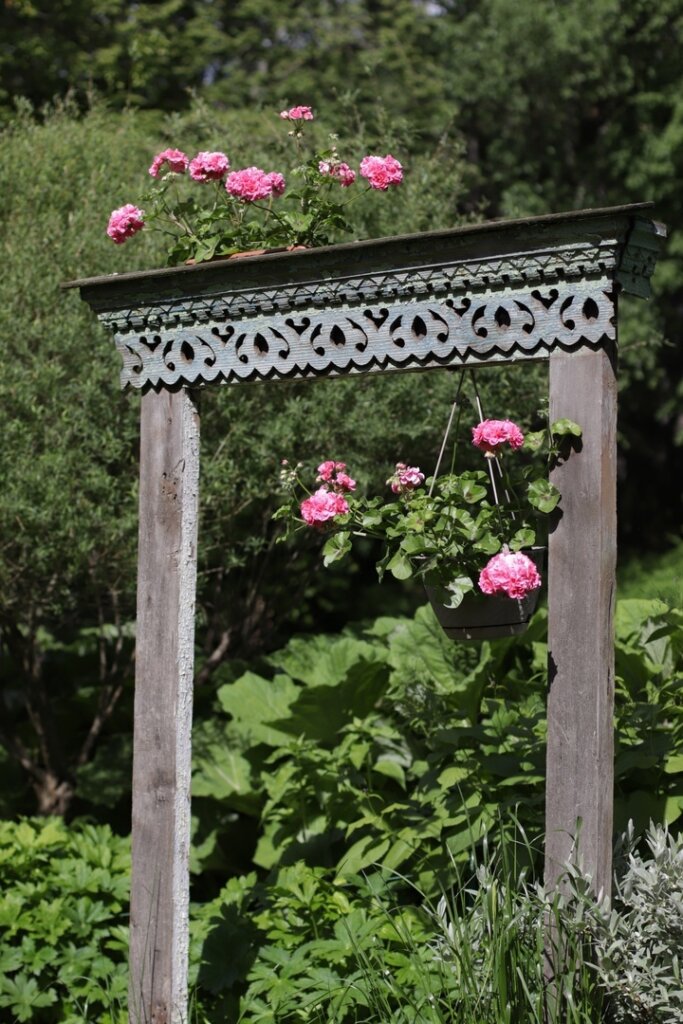 В Тверском ботаническом саду наступило волшебное время