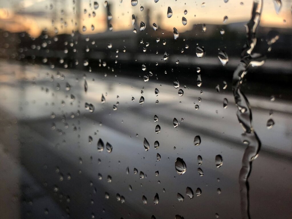 11 июня в Тверской области вновь будет пасмурно Понедельник в Тверской области будет дождливым