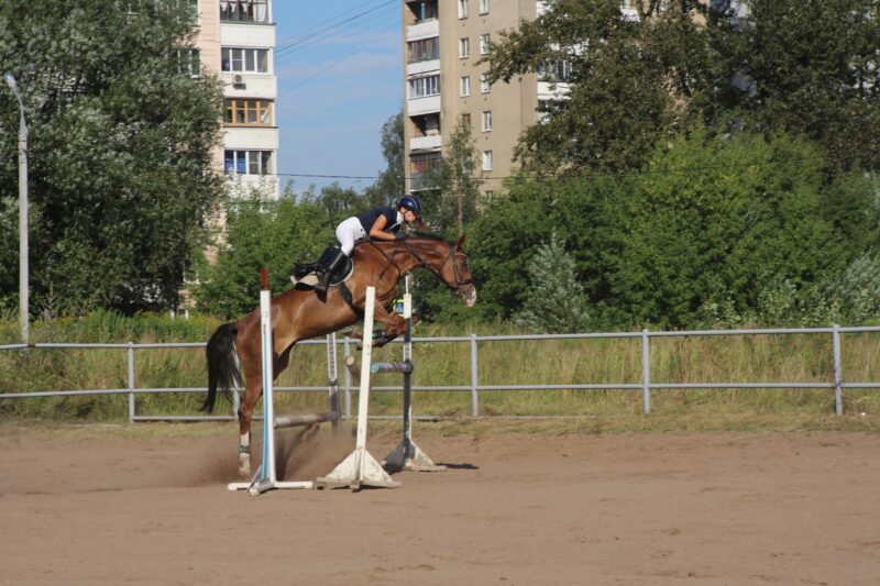 Конец июня порадует конников-спортсменов Чемпионатом Тверской области по конкуру