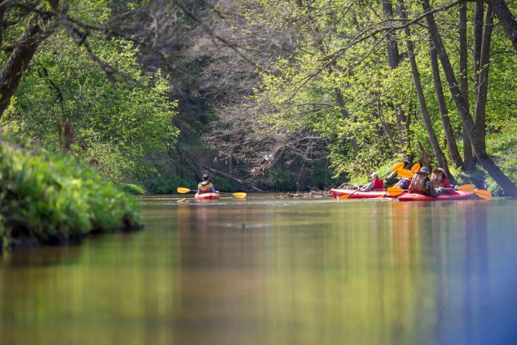 В конце июня состоится сплав по реке Медведица В конце июня состоится сплав по реке Медведица