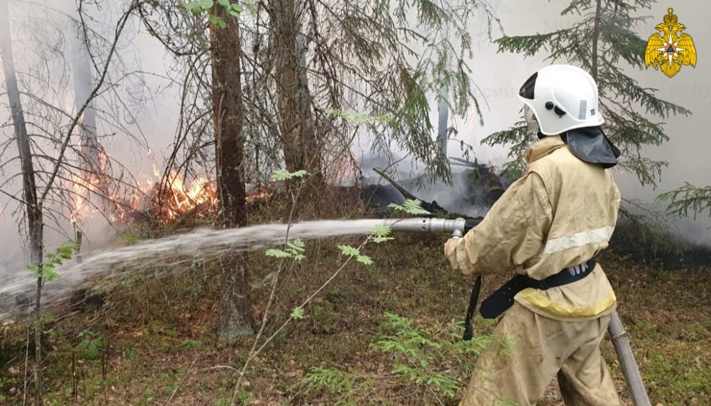 В Тверской области введён запрет на посещение лесов