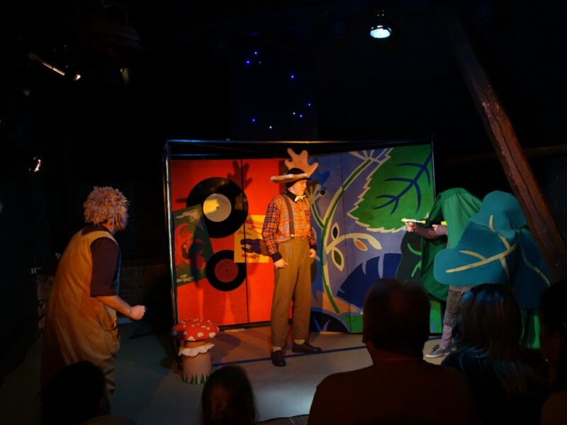 Тверской ТЮЗ представит спектакль "Ромашка"