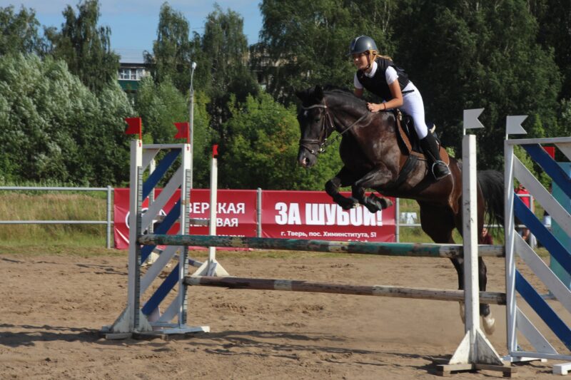 Конец июня порадует конников-спортсменов Чемпионатом Тверской области по конкуру