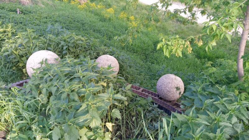 Сергей Аксенов: Вместе с «Дирекцией парков» Твери устраним последствия хулиганских действий