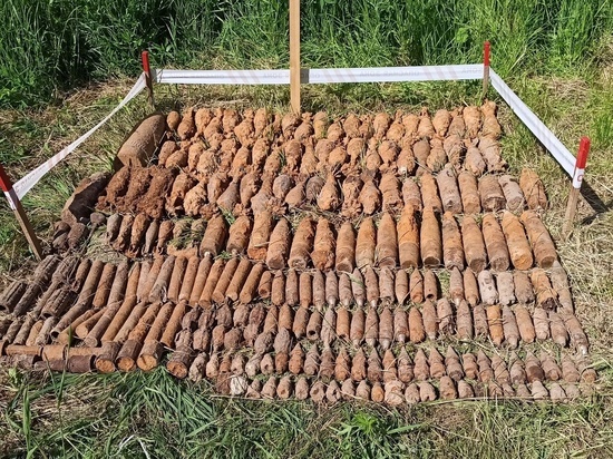 В Тверской области нашли 350 взрывоопасных снарядов, мин и гранат В Тверской области нашли 350 взрывоопасных снарядов, мин и гранат