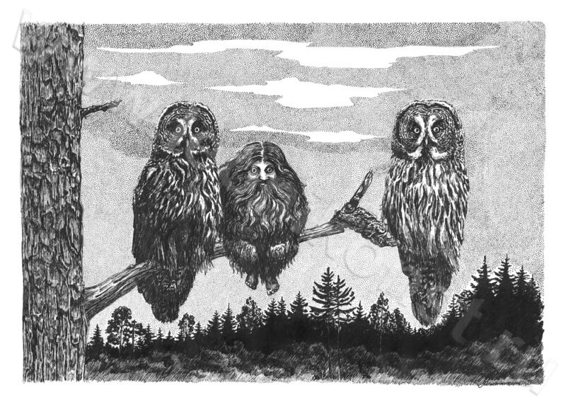 Выставка иллюстратора книг открывается в Вышнем Волочке Выставка иллюстратора книг открывается в Вышнем Волочке