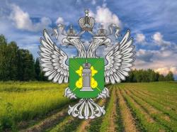 На землях сельскохозяйственного назначения Конаковского района ликвидирована свалка и устранено зарастание борщевиком Сосновского В Тверской области собственник плодородных земель позволил им зарасти