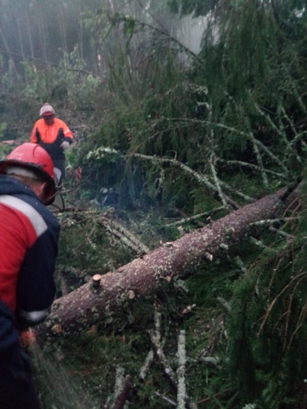 Жители Торопецкого района поблагодарили специалистов Тверьэнерго