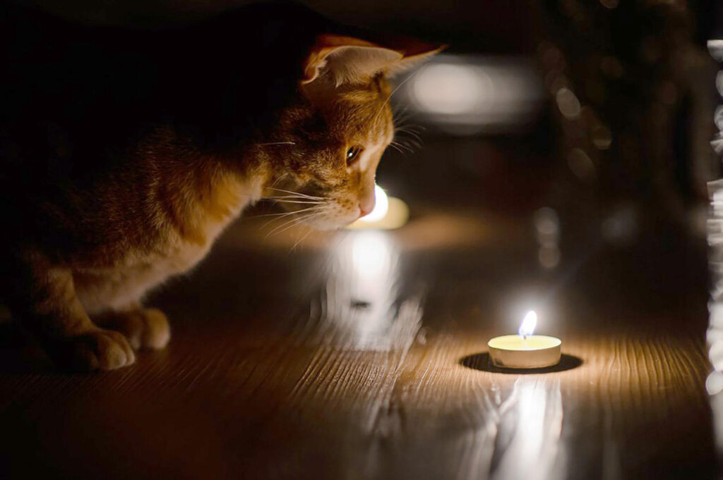 В Твери и области вновь будут отключать электроэнергию