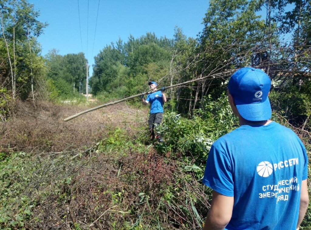 Участники студенческих энергетических отрядов «Россети Центр Тверьэнерго» постигают азы профессии энергетика