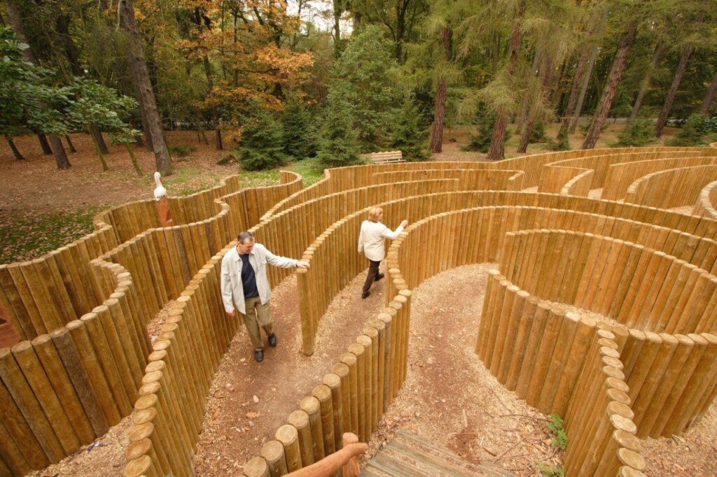 «Karielan tie»: жюри сможет решить, как будет выглядеть лабиринт-квест в Тверской области