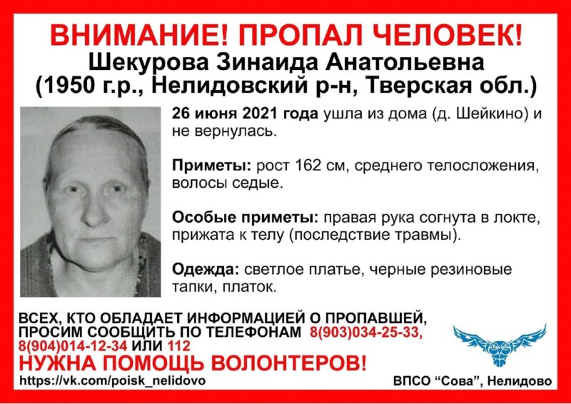 Водителей просят просмотреть видеорегистраторы для поиска пропавшей жительницы Нелидовского района