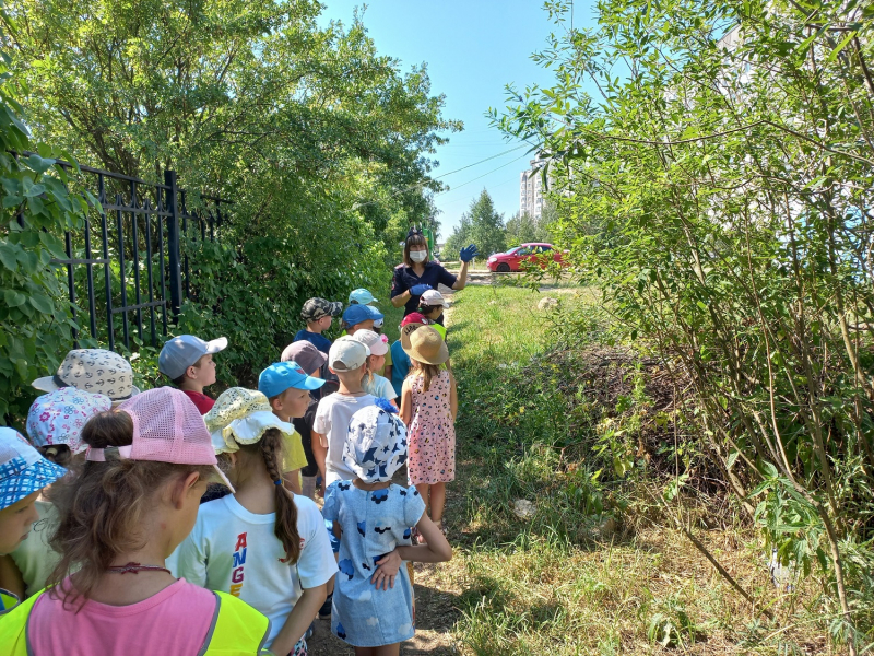 Сотрудники Тверской госавтоинспекции провели для детсадовцев акцию "Мой безопасный маршрут"