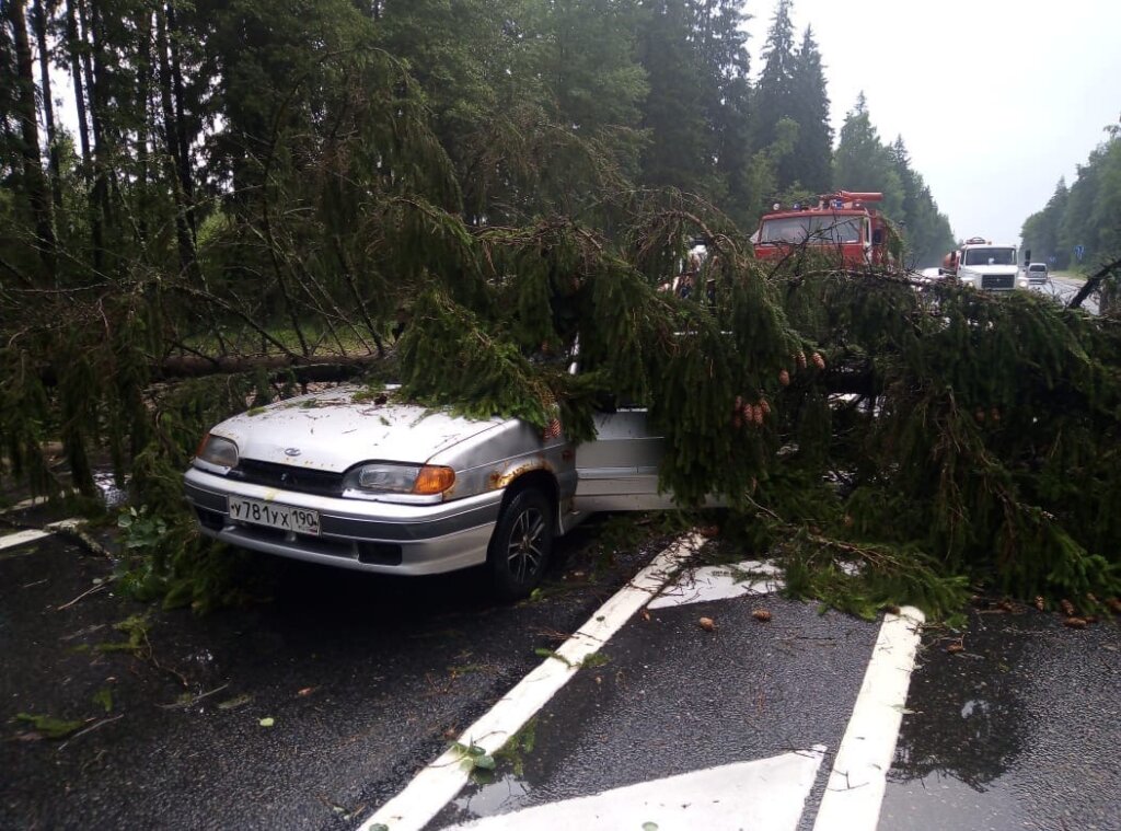 Неустойчивое дерево с М10 «прищемило» серебристую девятку