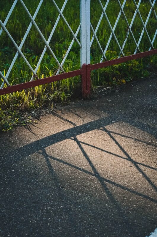 Солнечная прогулка: как выглядит летняя Тверь в объективе фотоаппарата