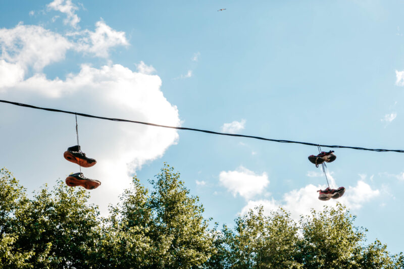 Тверской фотограф показала жаркое лето в Твери