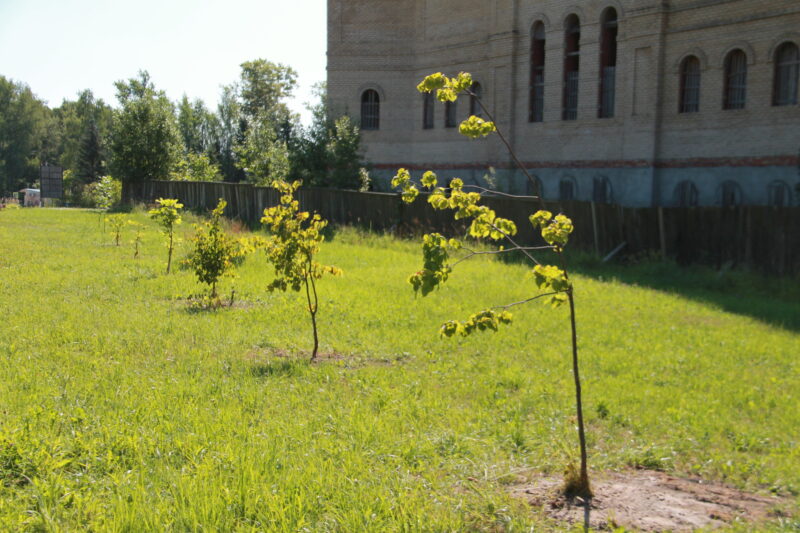 В Нелидово откроют спортивную площадку для любителей экстрима В Нелидово откроют спортивную площадку для любителей экстрима