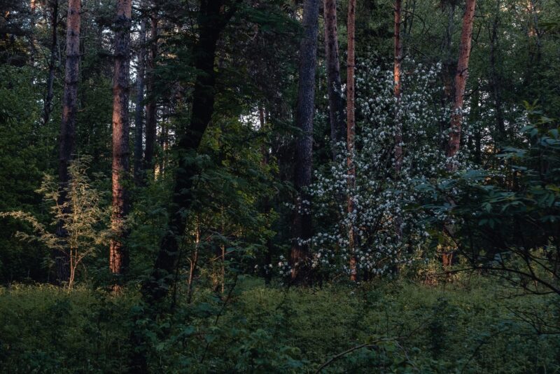 Тверской фотограф показал в своих снимках красоту родного края Тверской фотограф показал в своих снимках красоту родного края