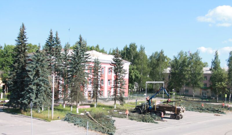 Площадь в Нелидово ждёт обновления озеленения