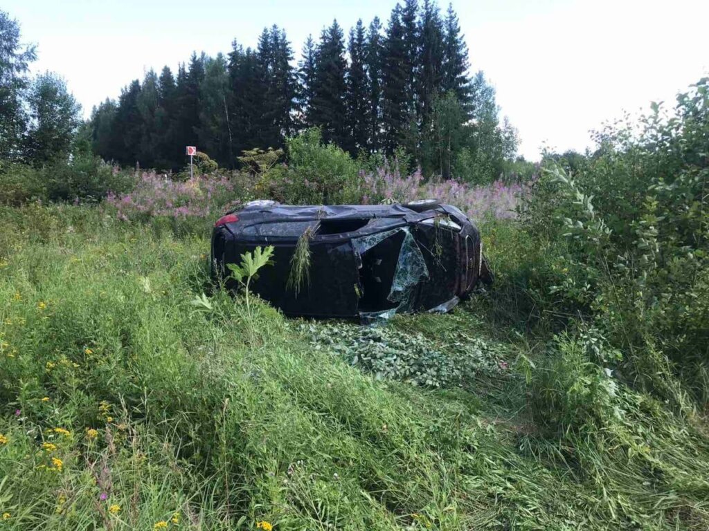 В Ржевском районе иномарка вылетела в кювет