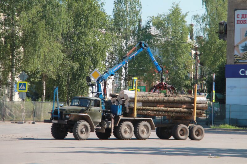 Площадь в Нелидово ждёт обновления озеленения